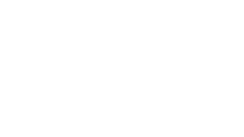 Palooza 2023-Landingpage-rechts-800x450